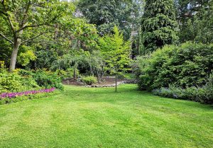 Optimiser l'expérience du jardin à Bonnefont